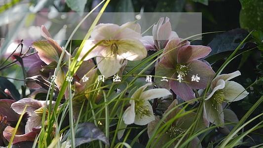 劳动合同法 用工年龄 劳动合同法 用工年龄